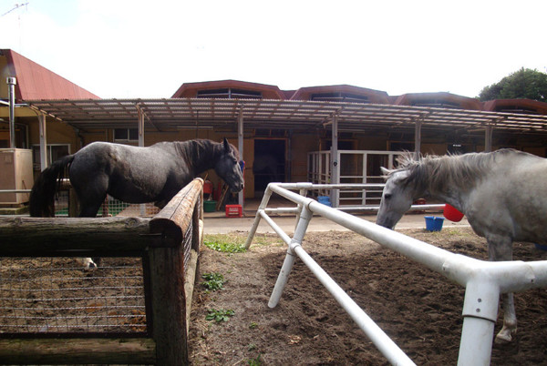 f:id:ando1947:20081015131214j:image