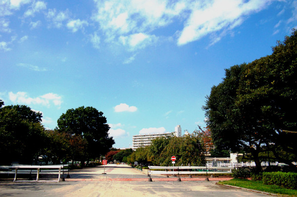 f:id:ando1947:20081015131358j:image