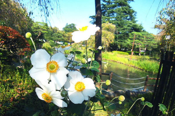 f:id:ando1947:20081015134926j:image