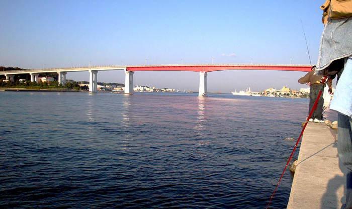 f:id:ando1947:20081101072154j:image f:id:ando1947:20081101072154j:image