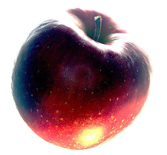 f:id:ando1947:20081107194102j:image
