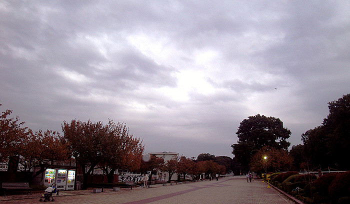 f:id:ando1947:20081109155834j:image
