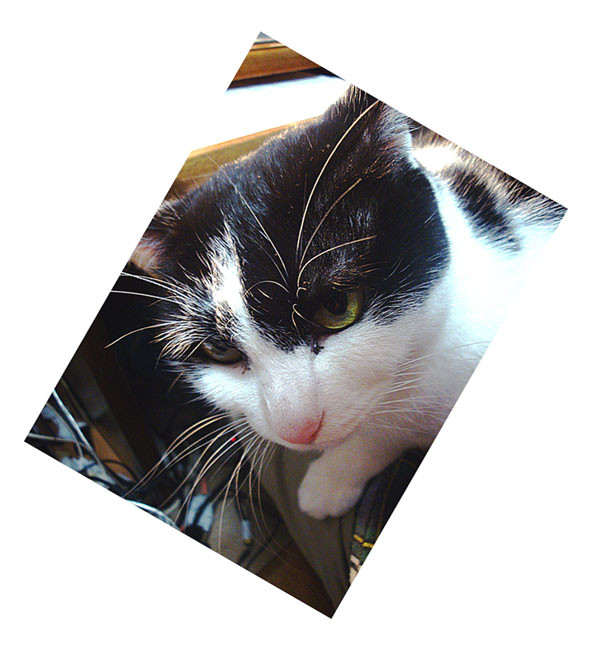 f:id:ando1947:20081111223714j:image