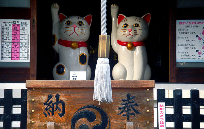 f:id:ando1947:20081113153351j:image