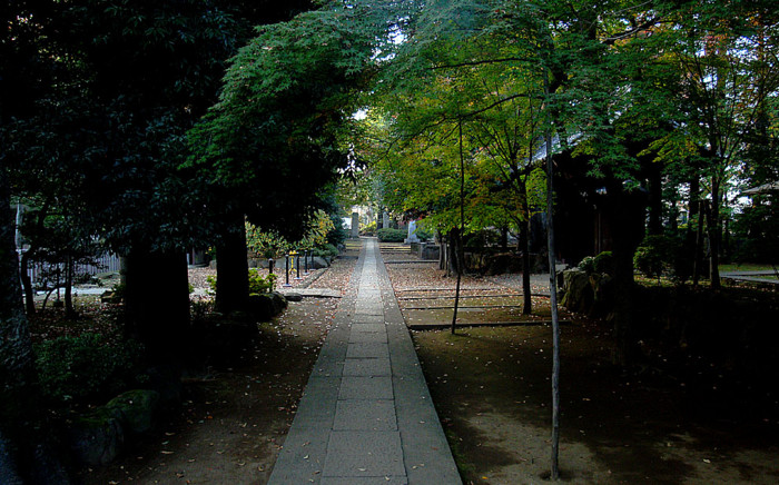 f:id:ando1947:20081114150006j:image