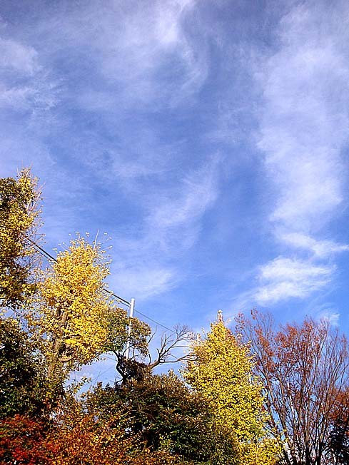 f:id:ando1947:20081119151010j:image