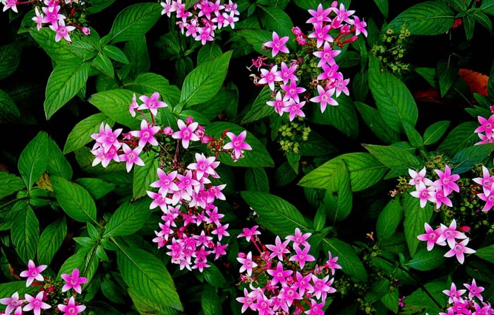 f:id:ando1947:20081119153441j:image