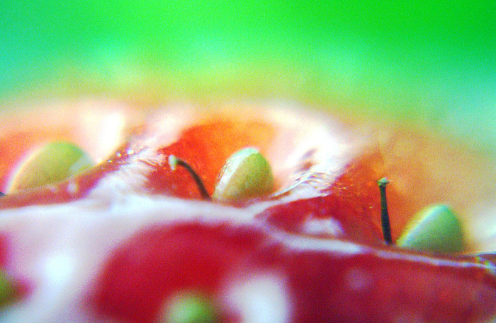f:id:ando1947:20081125190108j:image