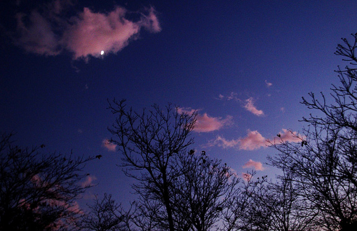 f:id:ando1947:20081206165407j:image