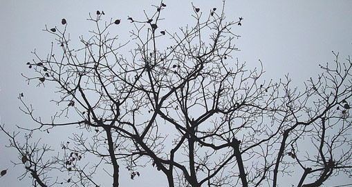 f:id:ando1947:20081209152851j:image f:id:ando1947:20081209152851j:image
