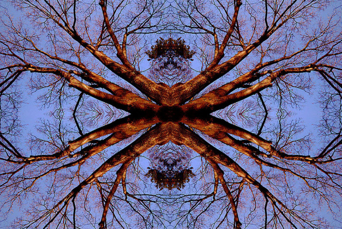 20081223185148