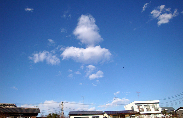 f:id:ando1947:20090113141707j:image