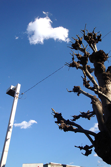 f:id:ando1947:20090113142157j:image