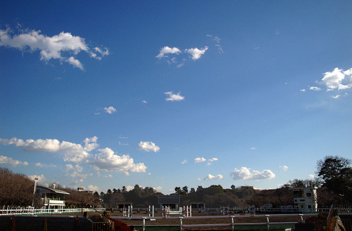 f:id:ando1947:20090113142719j:image