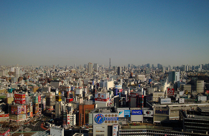 f:id:ando1947:20090114133234j:image f:id:ando1947:20090114133234j:image