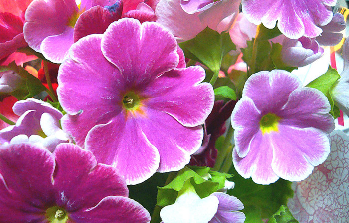f:id:ando1947:20090117133636j:image