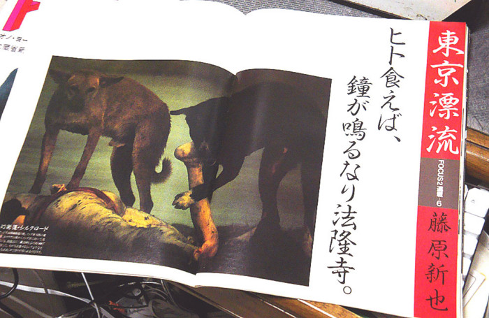 f:id:ando1947:20090118181426j:image