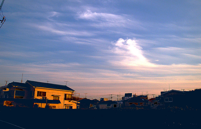 f:id:ando1947:20090127161135j:image f:id:ando1947:20090127161135j:image