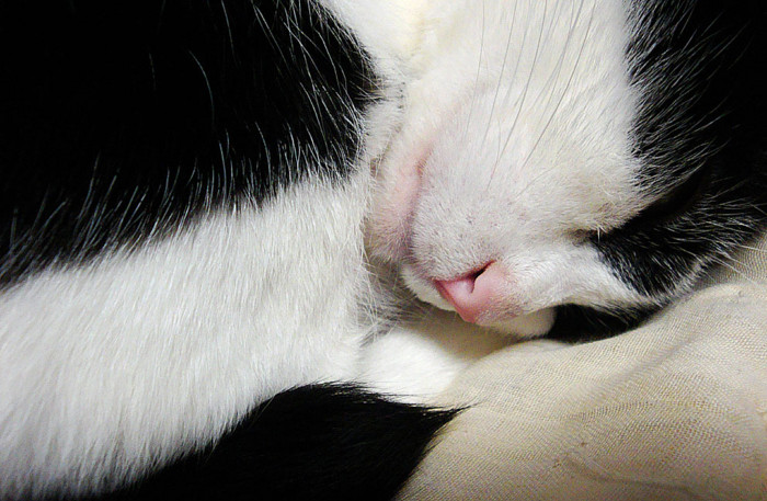 f:id:ando1947:20090129004947j:image f:id:ando1947:20090129004947j:image