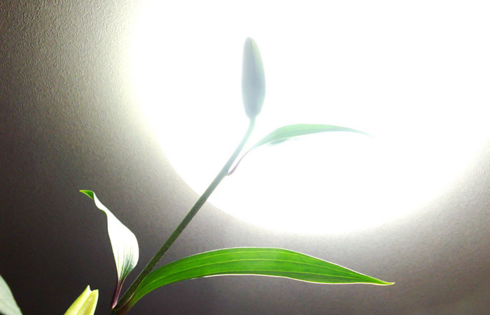 f:id:ando1947:20090130000551j:image f:id:ando1947:20090130000551j:image
