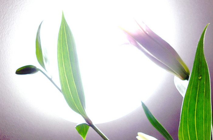 f:id:ando1947:20090130000615j:image f:id:ando1947:20090130000615j:image