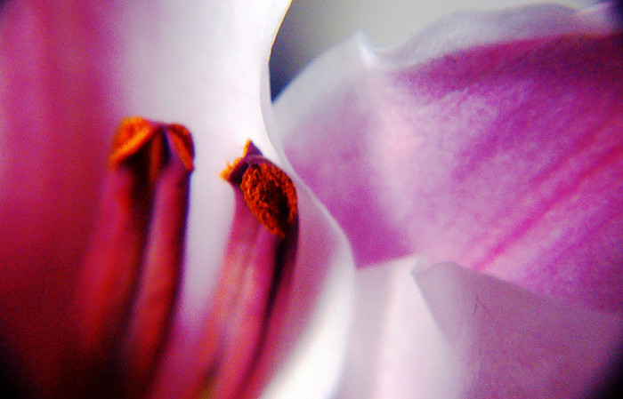 f:id:ando1947:20090131014123j:image f:id:ando1947:20090131014123j:image