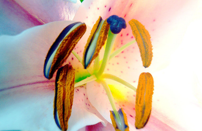 f:id:ando1947:20090201005501j:image f:id:ando1947:20090201005501j:image