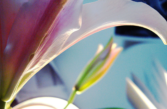 f:id:ando1947:20090201005844j:image f:id:ando1947:20090201005844j:image