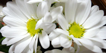 f:id:ando1947:20090220112026j:image