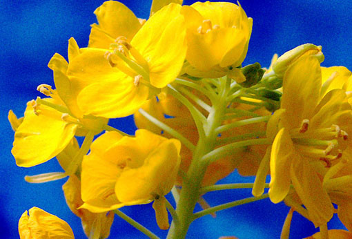 f:id:ando1947:20090221175655j:image f:id:ando1947:20090221175655j:image