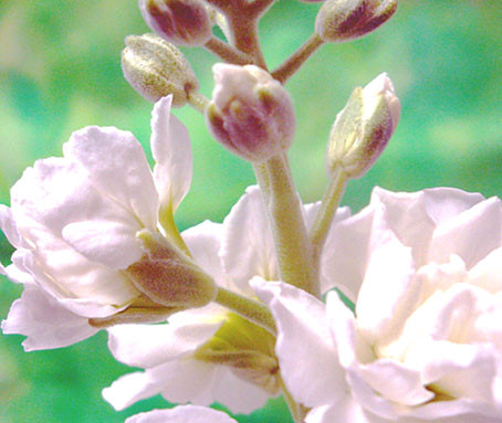 f:id:ando1947:20090221180013j:image f:id:ando1947:20090221180013j:image