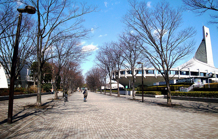 f:id:ando1947:20090302104732j:image f:id:ando1947:20090302104732j:image