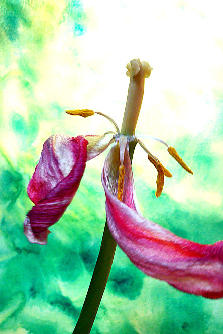 f:id:ando1947:20090309231009j:image f:id:ando1947:20090309231009j:image