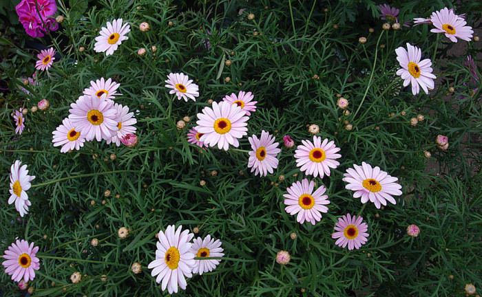 f:id:ando1947:20090311155227j:image