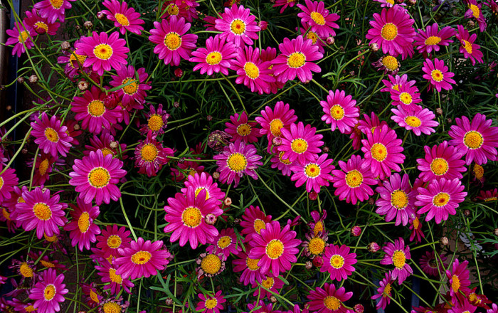 f:id:ando1947:20090311155234j:image