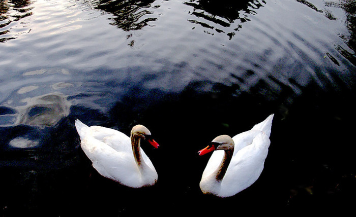 f:id:ando1947:20090311161049j:image