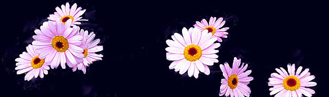 f:id:ando1947:20090313173345j:image