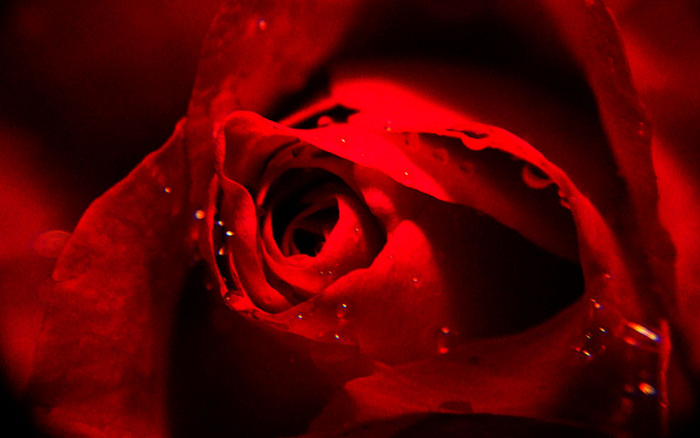 f:id:ando1947:20090314194301j:image f:id:ando1947:20090314194301j:image