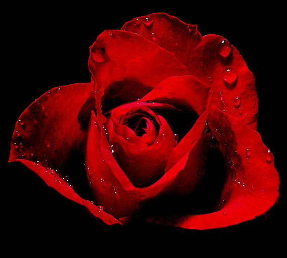 f:id:ando1947:20090314194426j:image f:id:ando1947:20090314194426j:image