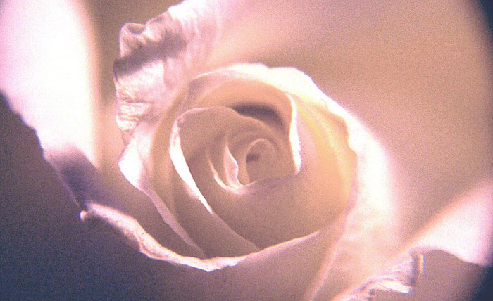 f:id:ando1947:20090315150136j:image f:id:ando1947:20090315150136j:image