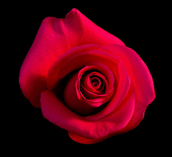 f:id:ando1947:20090315150220j:image f:id:ando1947:20090315150220j:image