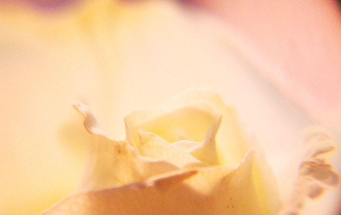 f:id:ando1947:20090315150257j:image f:id:ando1947:20090315150257j:image