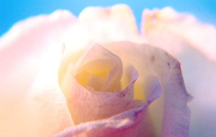 f:id:ando1947:20090319032148j:image