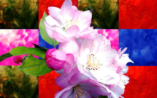 f:id:ando1947:20090320231519j:image