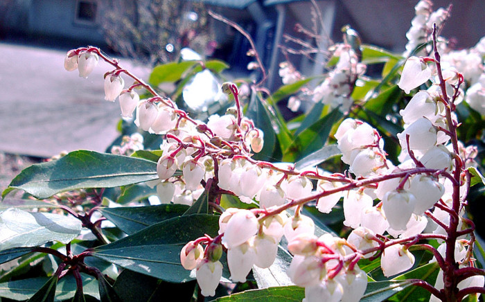 f:id:ando1947:20090321143604j:image