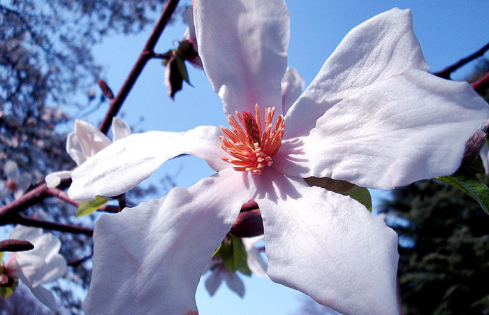 f:id:ando1947:20090321144255j:image