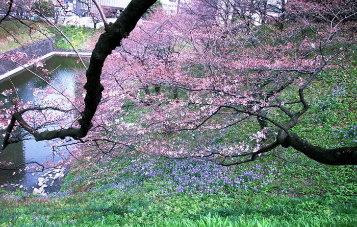 f:id:ando1947:20090324135134j:image
