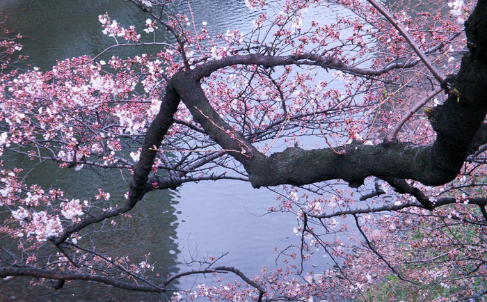 f:id:ando1947:20090324135205j:image