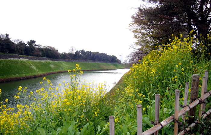 f:id:ando1947:20090324142628j:image