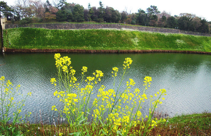 f:id:ando1947:20090324142752j:image